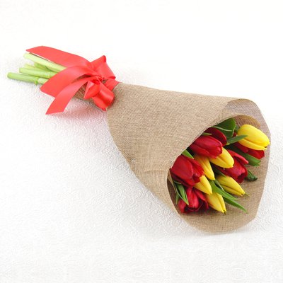 Велюр (тюльпан микс)